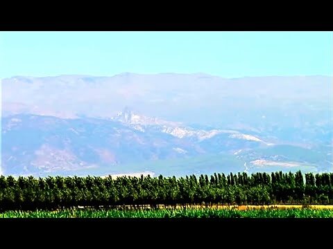 El auge de las Madereras en Granada: Un enfoque optimizado y conciso